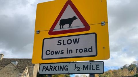 Slow cows in road sign