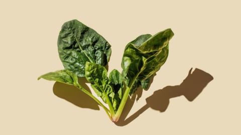 Green vegetable leaves on a beige background