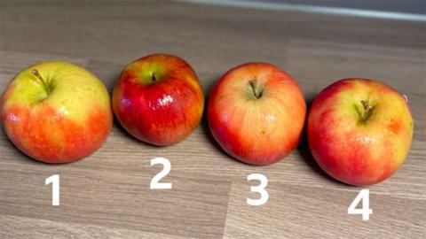 Four apples or cakes that look like apples, in a row with the numbers 1-4 beneath them.