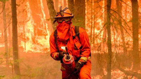 Firefighter fighting flames with burning forest in background