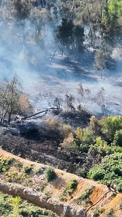 Drone shot of burnt heathland