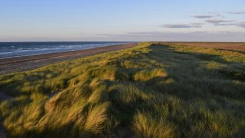 Ayres National Nature Reserve