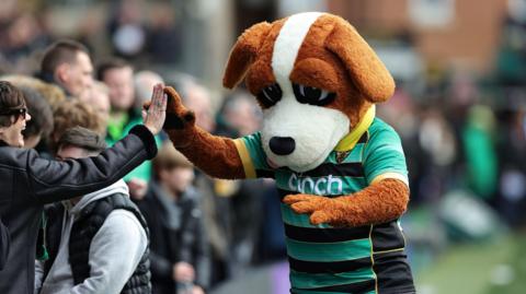 Bernie the Dog high-fiving rugby fans