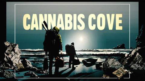 Cannabis Cove: Operation Seal Bay