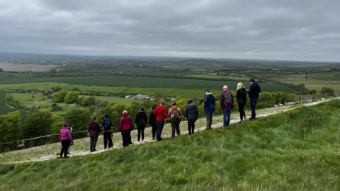 Volunteers weed the white lion at Whipsnade Zoo