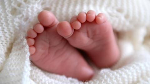 Pair of baby feet