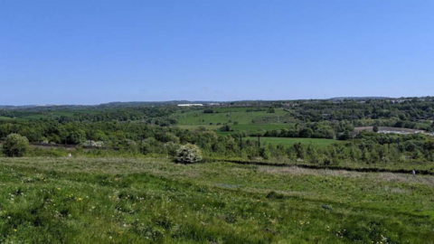 Large grassland at Aykley Heads Nature Reserve. 