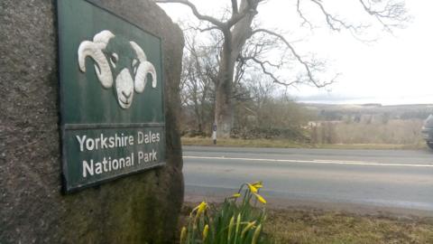 A large stone at the roadside displays a sign for the Yorkshire Dales National Park, featuring a stylised ram’s head above the park name; yellow daffodils bloom in the foreground, with a road, a parked car, bare trees and rolling hills in the background.