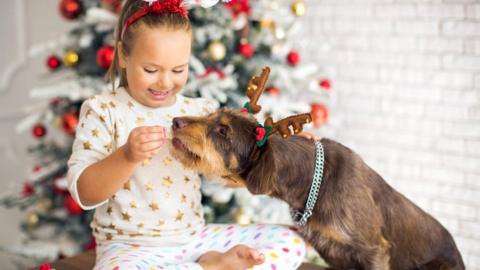 girl-feeding-dog.