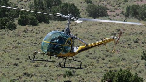 Helicopter pilot Rick Harmon of KG Livestock rounds up a group of wild horses during a gathering July 7, 2005 in Eureka, Nevada. The Bureau of Land Management is gathering wild horses in the American West, where an estimated 37,000 wild horses roam free. Many of the horses that are gathered are put up for adoption while others are treated with birth control and released back to the wild.