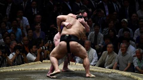 Sumo wrestlers in Japan