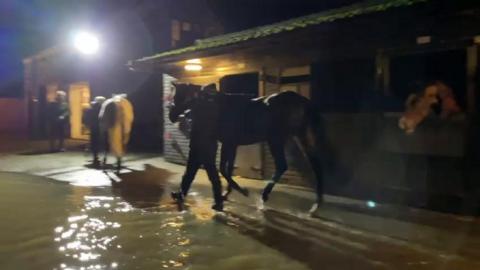 Horse walking through flood water