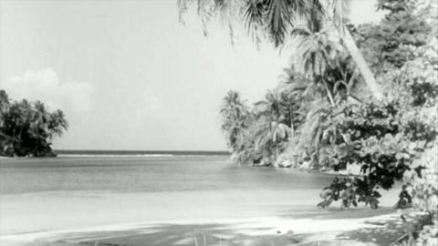 A beach in Jamaica.