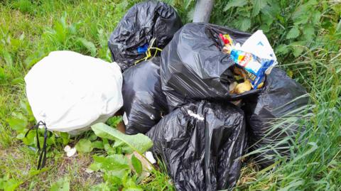 Six plastic rubbish bags dumped in a patch of grass. One of the bags has ripped open and is spilling food packaging and banana peels 