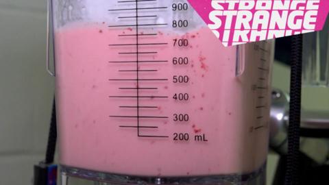 Milkshake