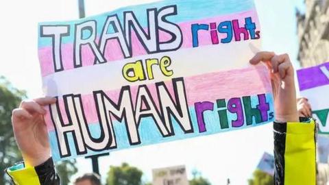 An image of two hands holding either side of a placard which reads TRANS RIGHTS ARE HUMAN RIGHT, on a blue, pink and white background
