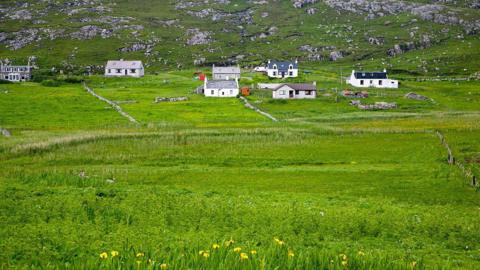 Taighean ann am Barraigh