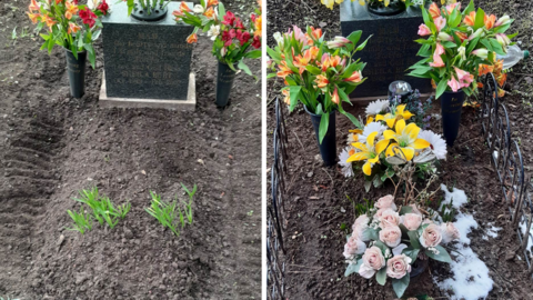A before and after of the grave