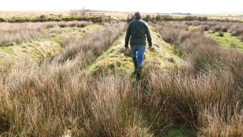 A man in a green jumper and wellies is walking on Exmoor away from the camera.