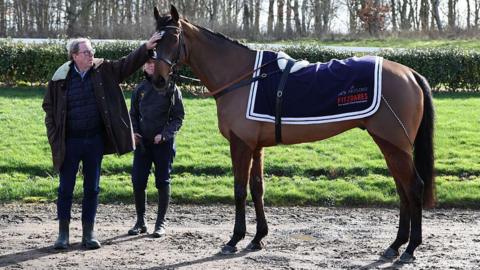 Harry Redknapp touching the head of Jukebox Man