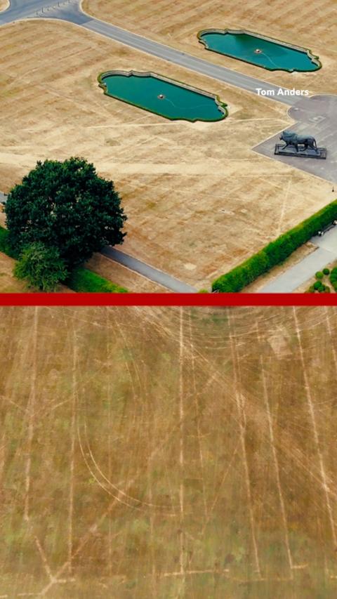 Two pictures of dry grass showing lines going through it.