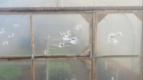 A translucent piece of plastic has several holes and rips in its material. Through the material are small green plants and a thin wooden structure. 