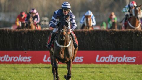 Katate Dori ridden by Charlie Deutsch