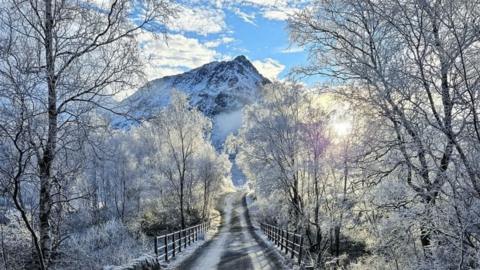 Ruth McIntosh stumbled upon this snowy scene while walking in Glencoe