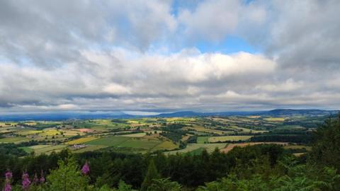 An aerial view of countryside with fields and trees under a cloudy sky