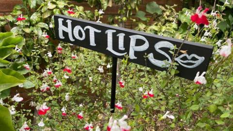 A 'Hot Lips' sign above some colourful red and white flowers