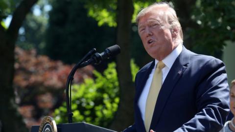 U.S. President Donald Trump speaks about expanding healthcare coverage for small businesses in the Rose Garden of the White House on June 14, 2019 in Washington, DC