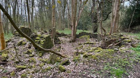 Ruined sections of Greencroft Hall. Sections of walls remain in a copse of woodland. The bricks are covered in green moss and trees have grown in the middle of where the building would have sat.