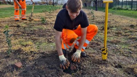 Tree being planted at the site