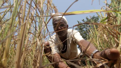 Farmer in Maharashtra