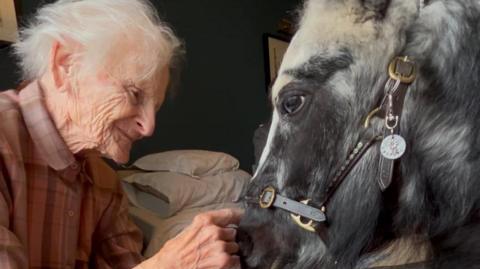 Close up of elderly woman stroking pony's face. She has white hair and is stroking a black pony.