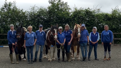 A row of eight volunteers in blue polo tops stand in a row at Watershed RDA with three ponies in between them