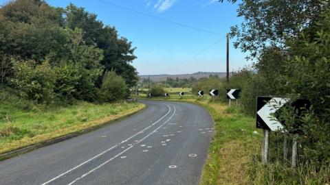 A bend in a road with two white lines in the centre and white circles on the road surface marking points of interest to the police. At the side of the road there are black road signs with white arrows to indicate the bend. The road is surrounded with trees and grass banks.