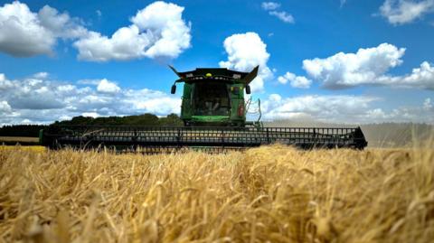 Combine harvester in a field of wheat