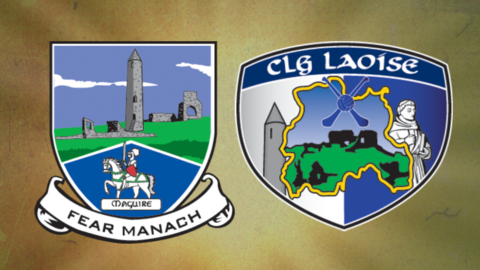 Fermanagh v Laois