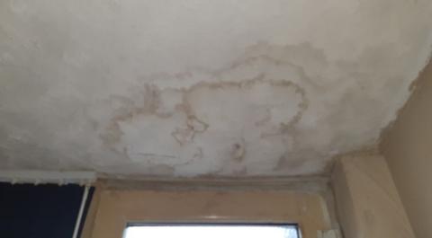 Damp and mould growing on a white ceiling