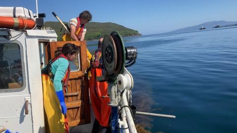 Seaweed farmers