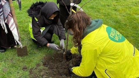 Fruit works and school child planting a tree