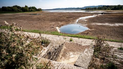Low water levels at Chew Valley lake - the photo shows a small pool of water amid a vast expanse of mud. In the distance the edge of the lake is ringed by forests