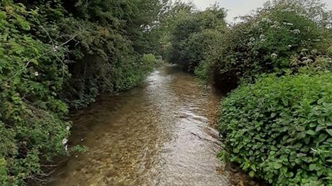 River Ems near Chichester 