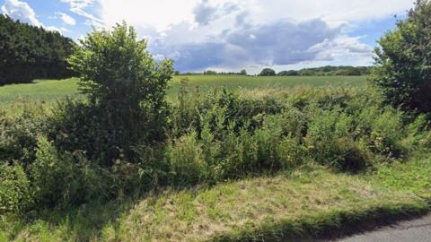 A farm field seen from the road, which has a low hedge before the field. On the left side of the field is a row of tall trees.