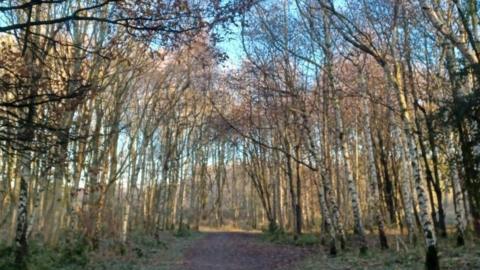 Kenworthy Woods