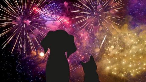 Silhouette illustrations of a dog and cat watching fireworks