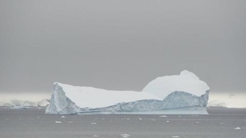 An iceberg floats in Selvick Cove, Antarctica, February 13, 2018.
