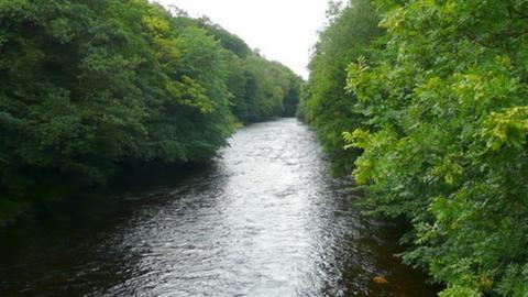 Two boys were rescued from the River Tawe by firefighters