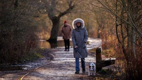 A person wearing a coat with a fur hood up walks a dog along a frosty path in Epping Forest